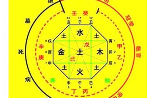 八字五行配對|生辰八字算命、五行喜用神查詢（免費測算）